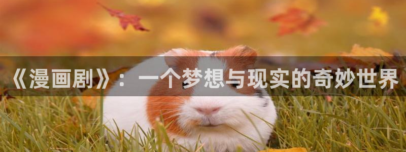 copy漫画：《漫画剧》：一个梦想与现实的奇妙世界